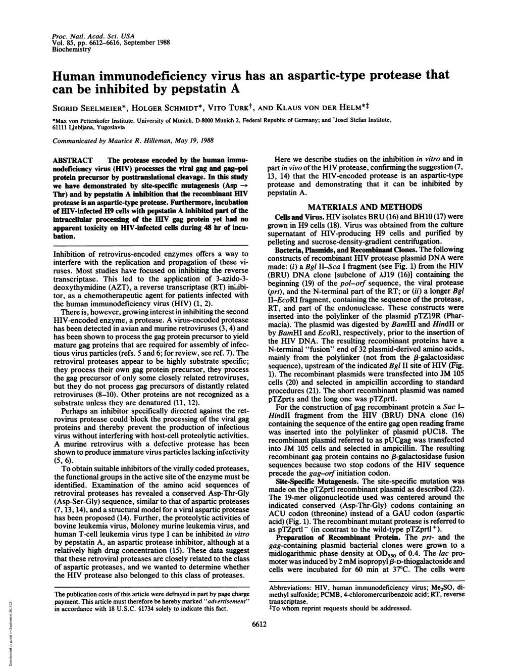 Human Immunodeficiency Virus Has an Aspartic-Type Protease That Can