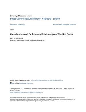 Classification and Evolutionary Relationships of the Sea Ducks