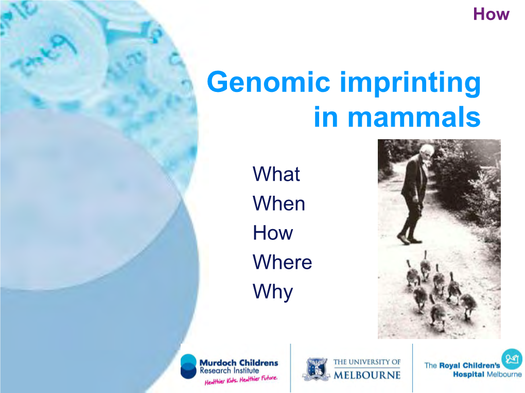 Genomic Imprinting in Mammals