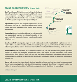 GIANT FOREST MUSEUM // Green Route GIANT