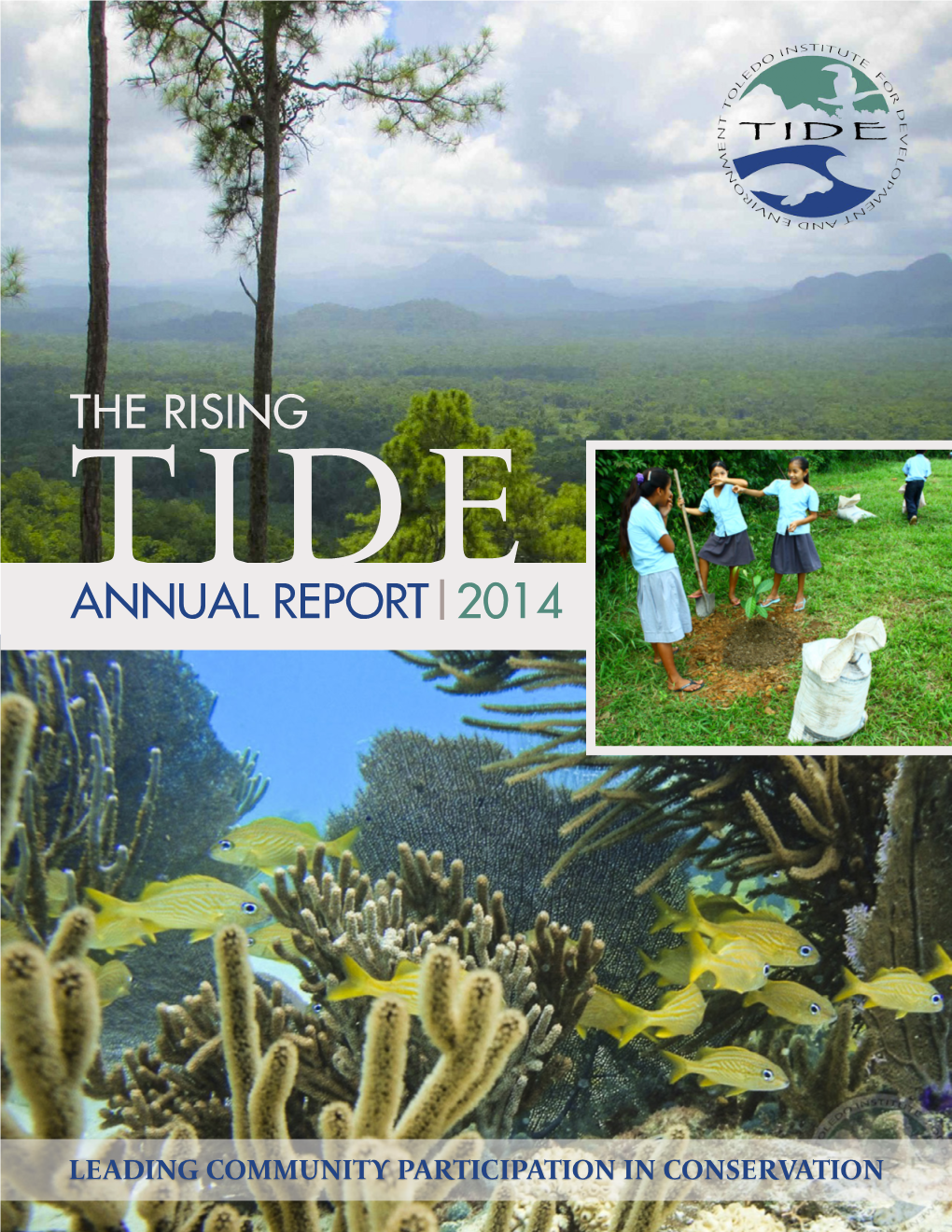 Annual Report|2014