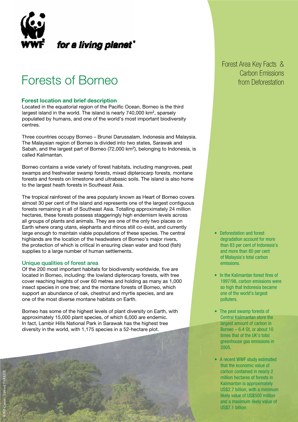 Forests of Borneo from Deforestation