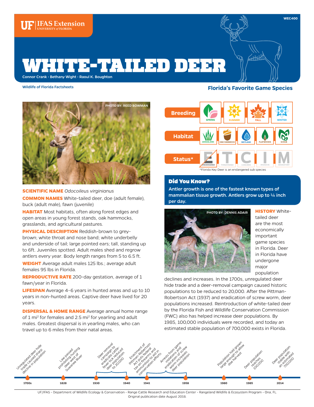 White-Tailed Deer of Florida