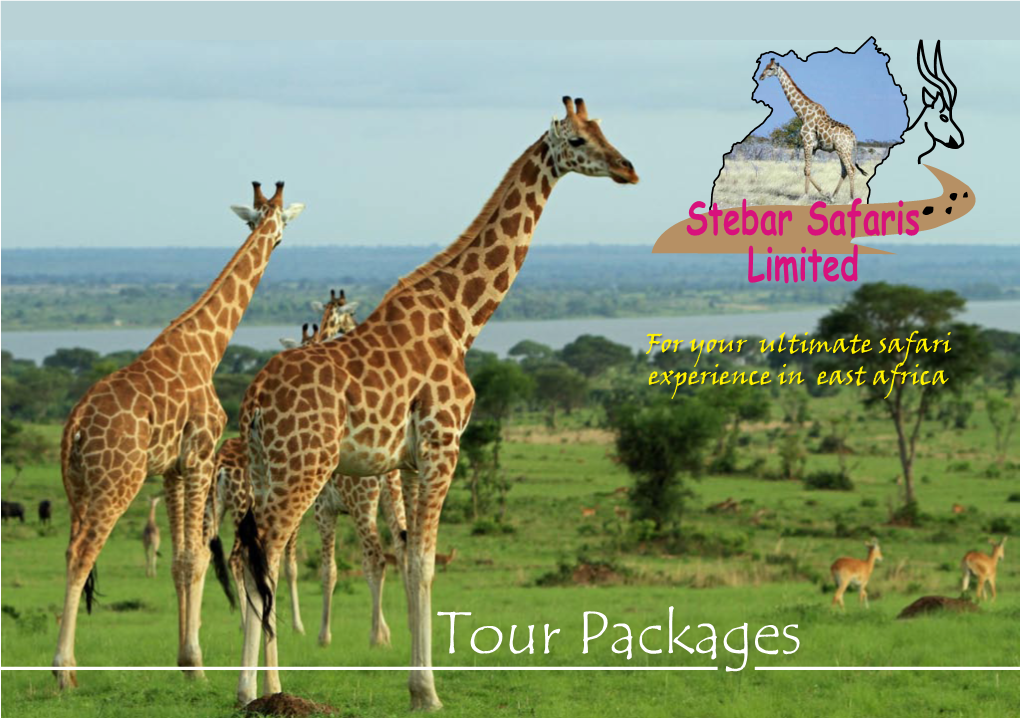 Tour Packages 1 Day Kampala City Tour