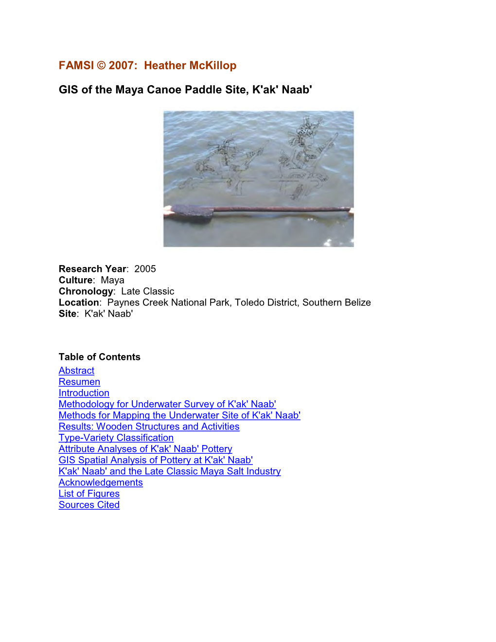 GIS of the Maya Canoe Paddle Site, K'ak' Naab'