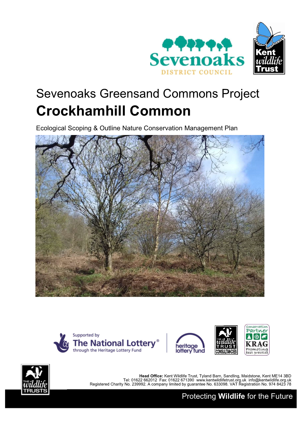 Crockhamhill Common Report