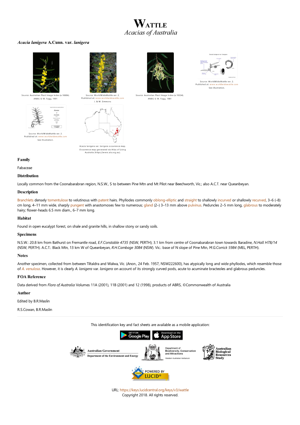 Acacia Lanigera Var. Lanigera Occurrence Map