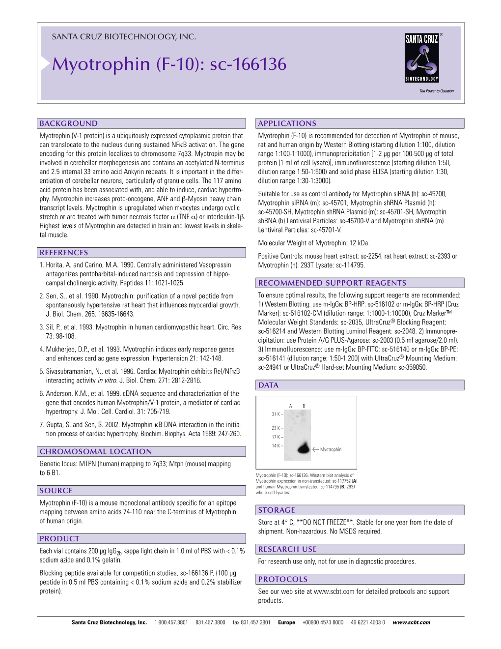 Datasheet Blank Template