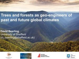 Trees and Forests As Geo-Engineers of Past and Future Global Climates