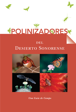 Polinizadores Del Desierto Sonorense