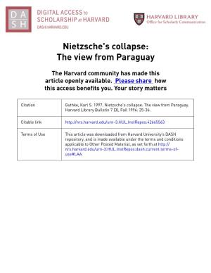 Nietzsche's Collapse: the View from Paraguay