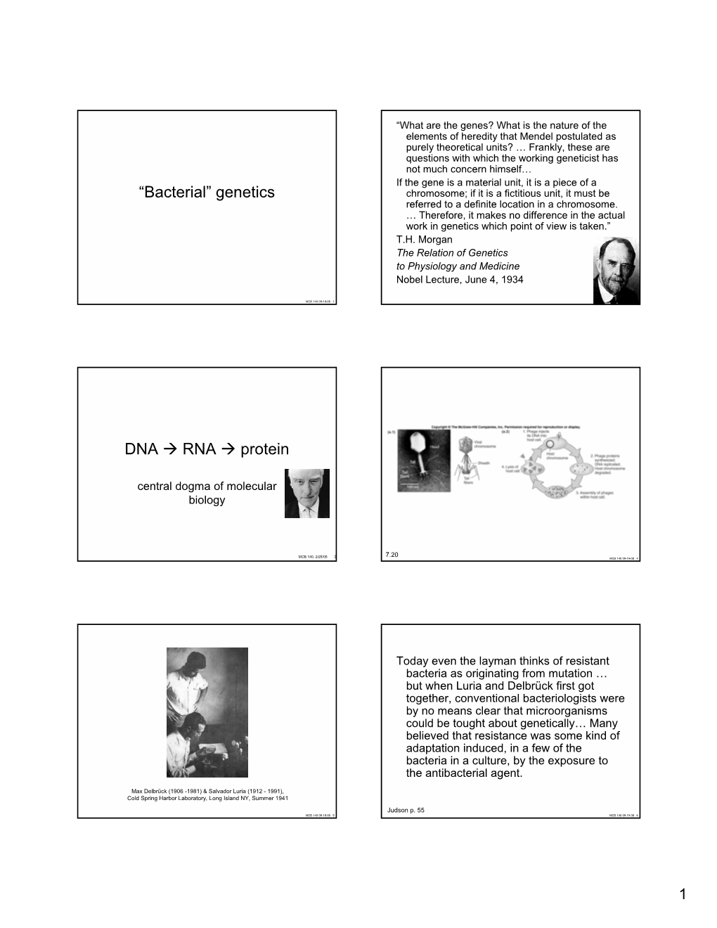 “Bacterial” Genetics DNA → RNA → Protein