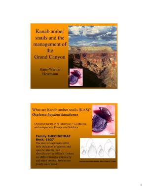 Kanab Amber Snails and the Management of the Grand Canyon
