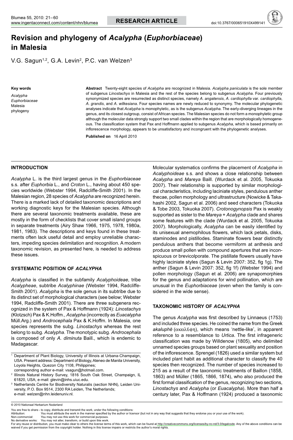 Revision and Phylogeny of Acalypha (Euphorbiaceae) in Malesia