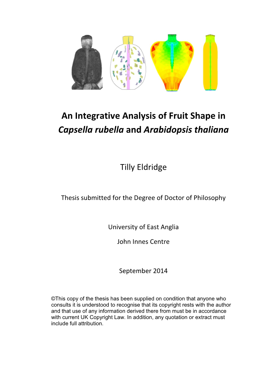 An Integrative Analysis of Fruit Shape in Capsella Rubella and Arabidopsis Thaliana