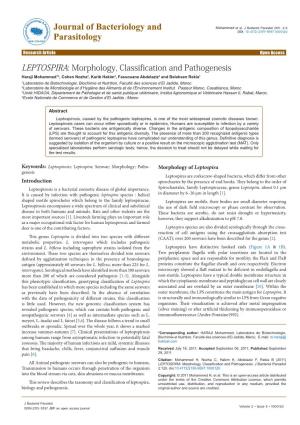LEPTOSPIRA: Morphology, Classification and Pathogenesis