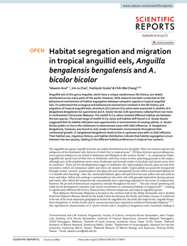 Habitat Segregation and Migration in Tropical Anguillid Eels, Anguilla Bengalensis Bengalensis and A