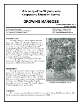 GROWING MANGOES Gardeners Factsheet NO