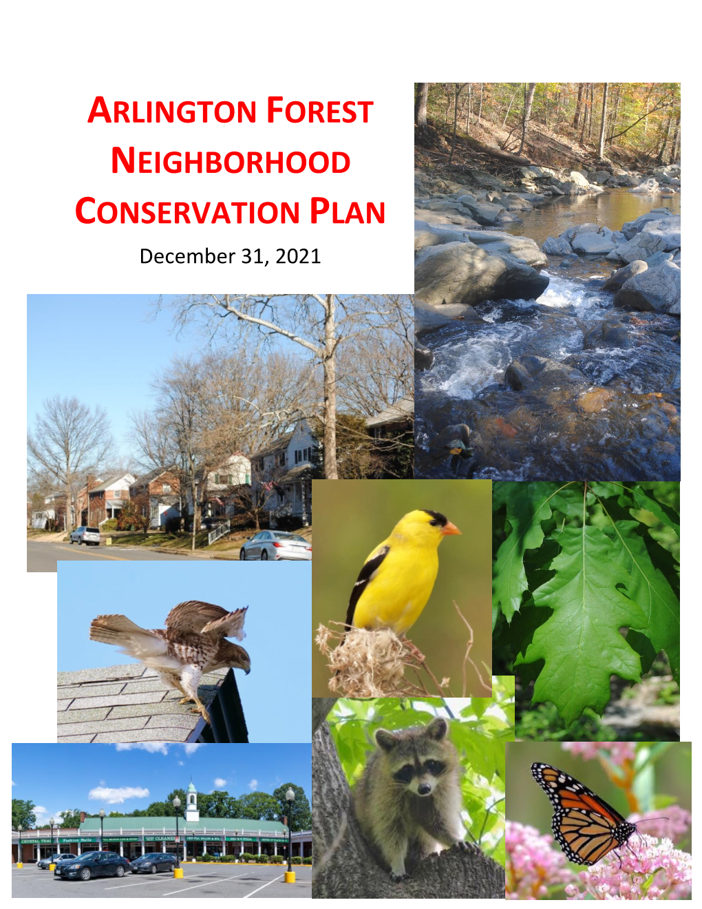 ARLINGTON FOREST NEIGHBORHOOD CONSERVATION PLAN December 31, 2021