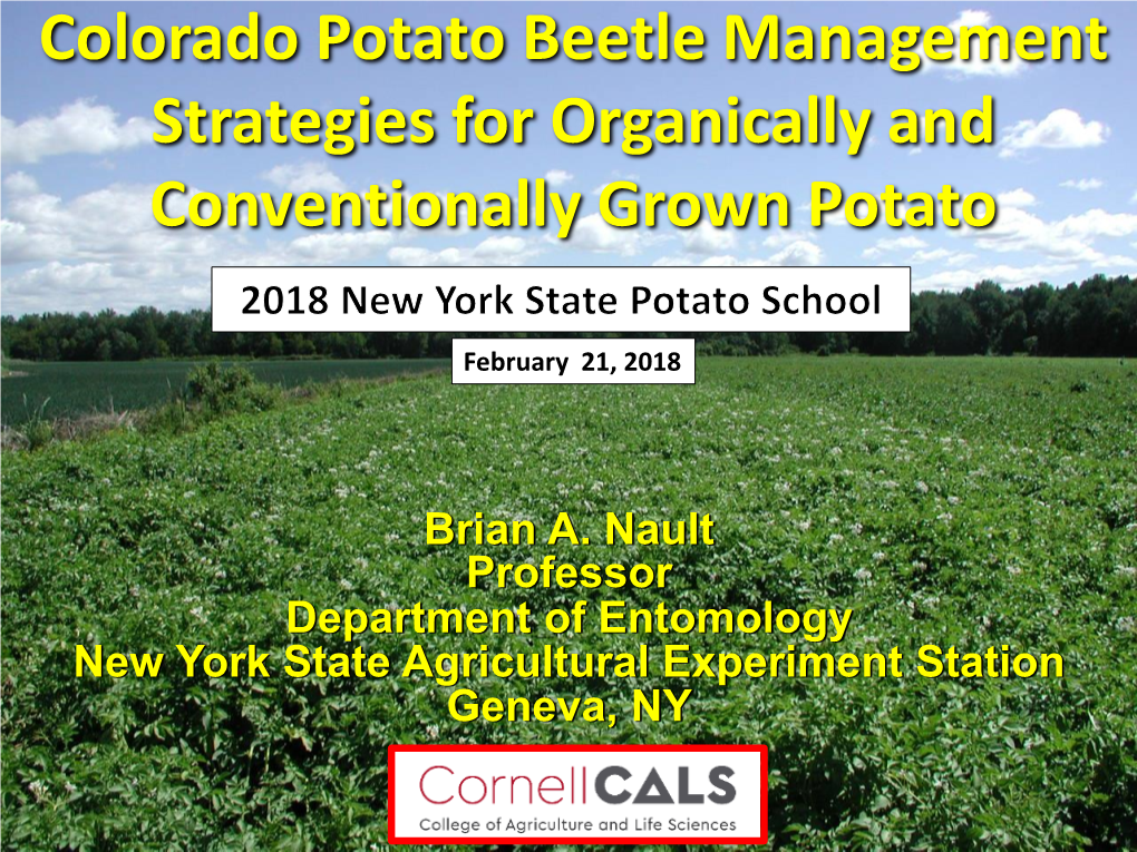 Colorado Potato Beetle Management Strategies for Organically and Conventionally Grown Potato