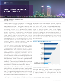Investing in Frontier Markets Equity
