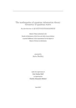 The Mathematics of Quantum Information Theory: Geometry of Quantum States