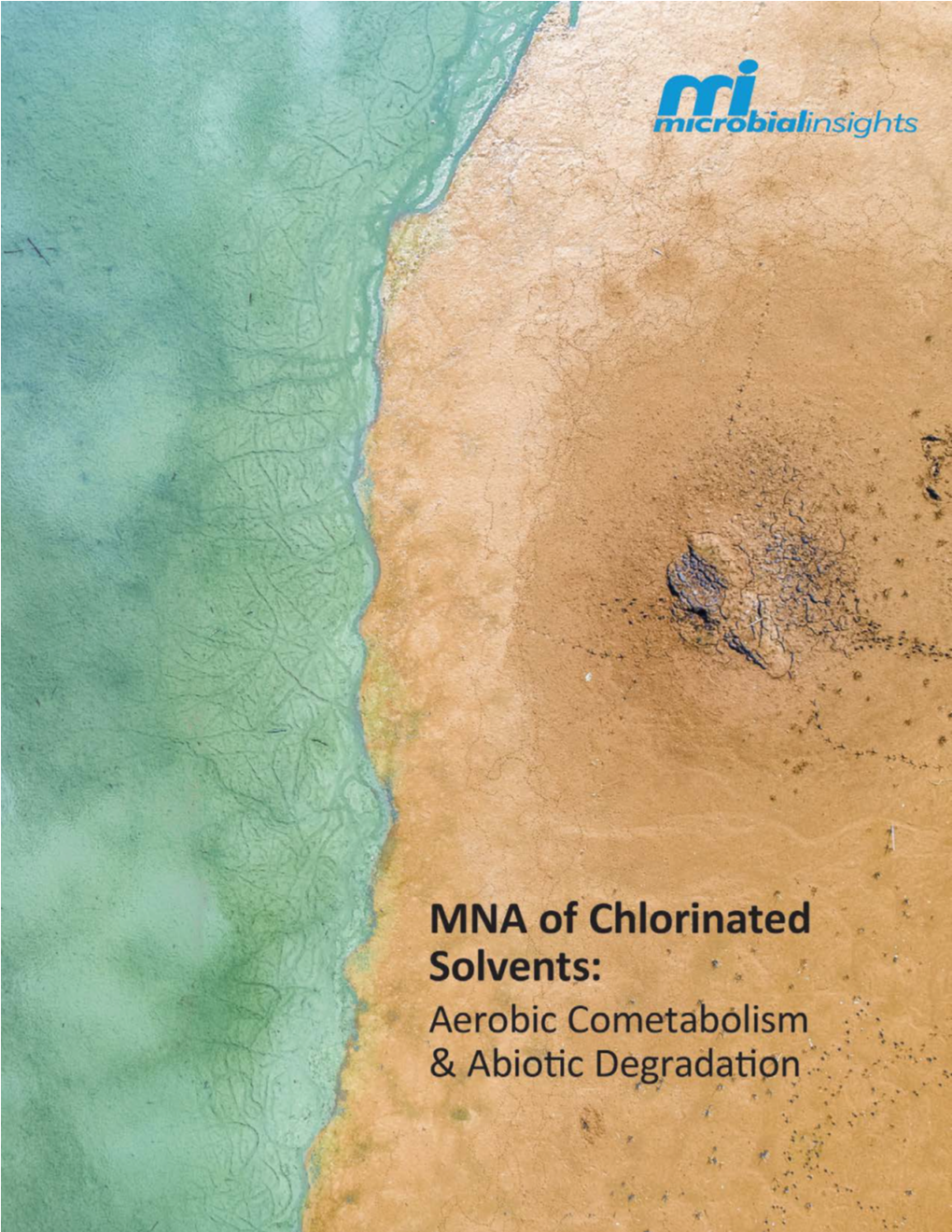 Tech Bulletin Is to Describe Analyses That Can Be Used to Assess MNA at Chlorinated Ethene Sites by Answering the Following Questions