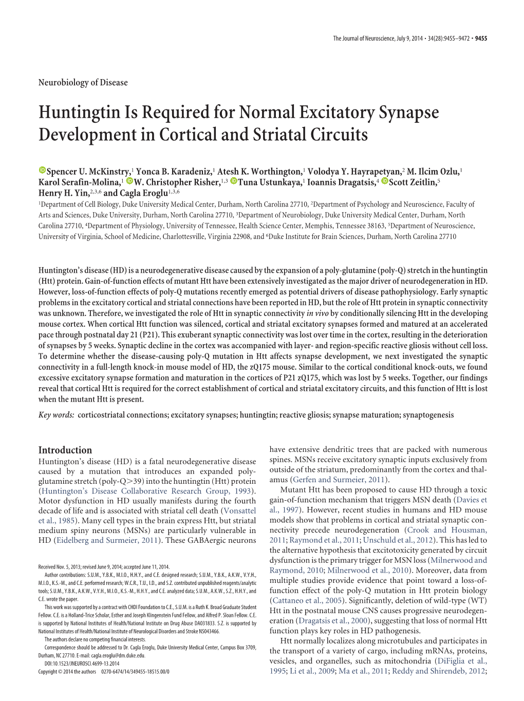 Huntingtin Is Required for Normal Excitatory Synapse Development in Cortical and Striatal Circuits