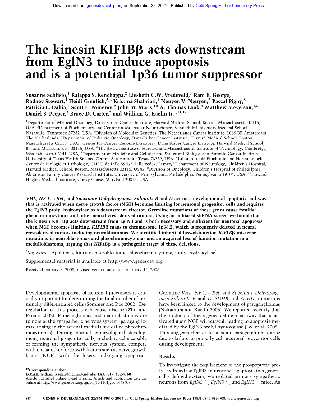 The Kinesin KIF1BЯ Acts Downstream from Egln3 to Induce Apoptosis And