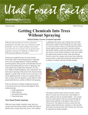 Getting Chemicals Into Trees Without Spraying