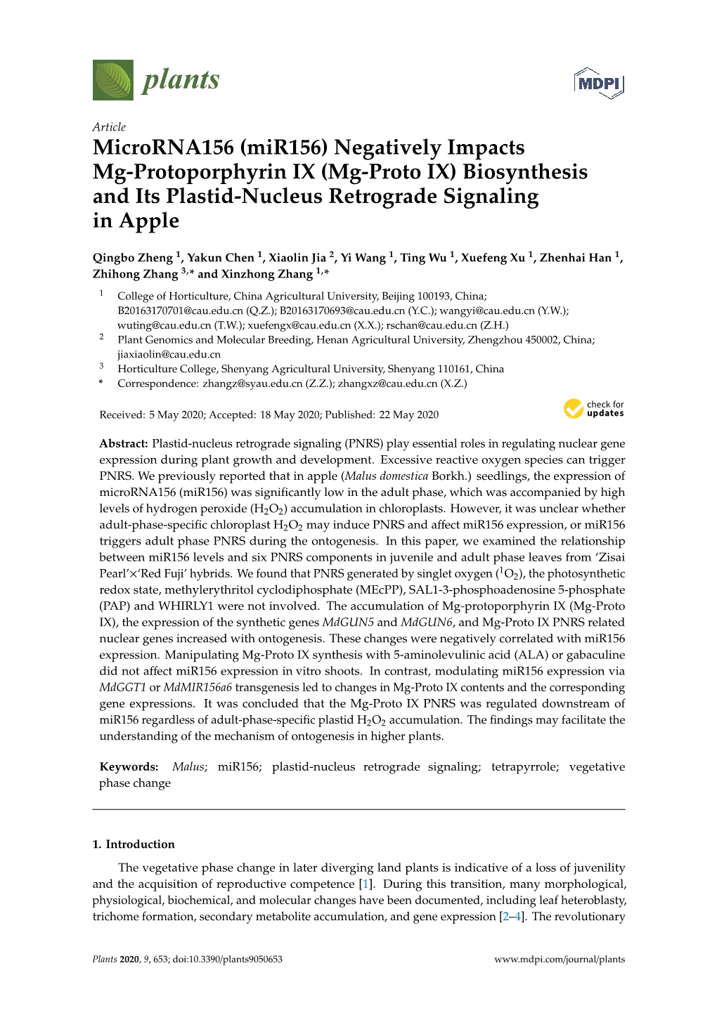 Microrna156 (Mir156) Negatively Impacts Mg-Protoporphyrin IX (Mg-Proto IX) Biosynthesis and Its Plastid-Nucleus Retrograde Signaling in Apple