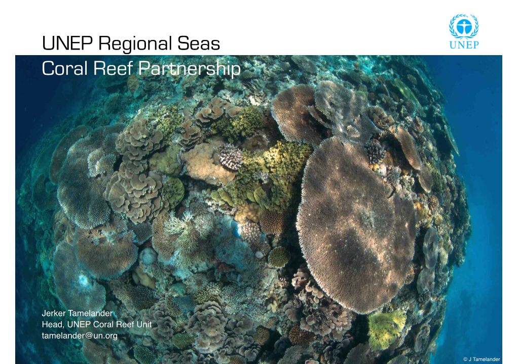 UNEP Regional Seas Coral Reef Partnership
