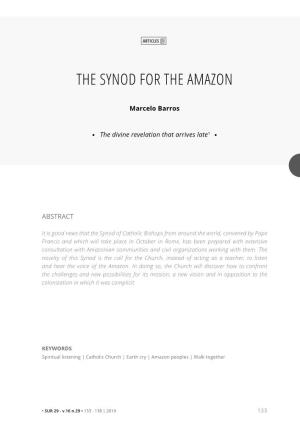 The Synod for the Amazon