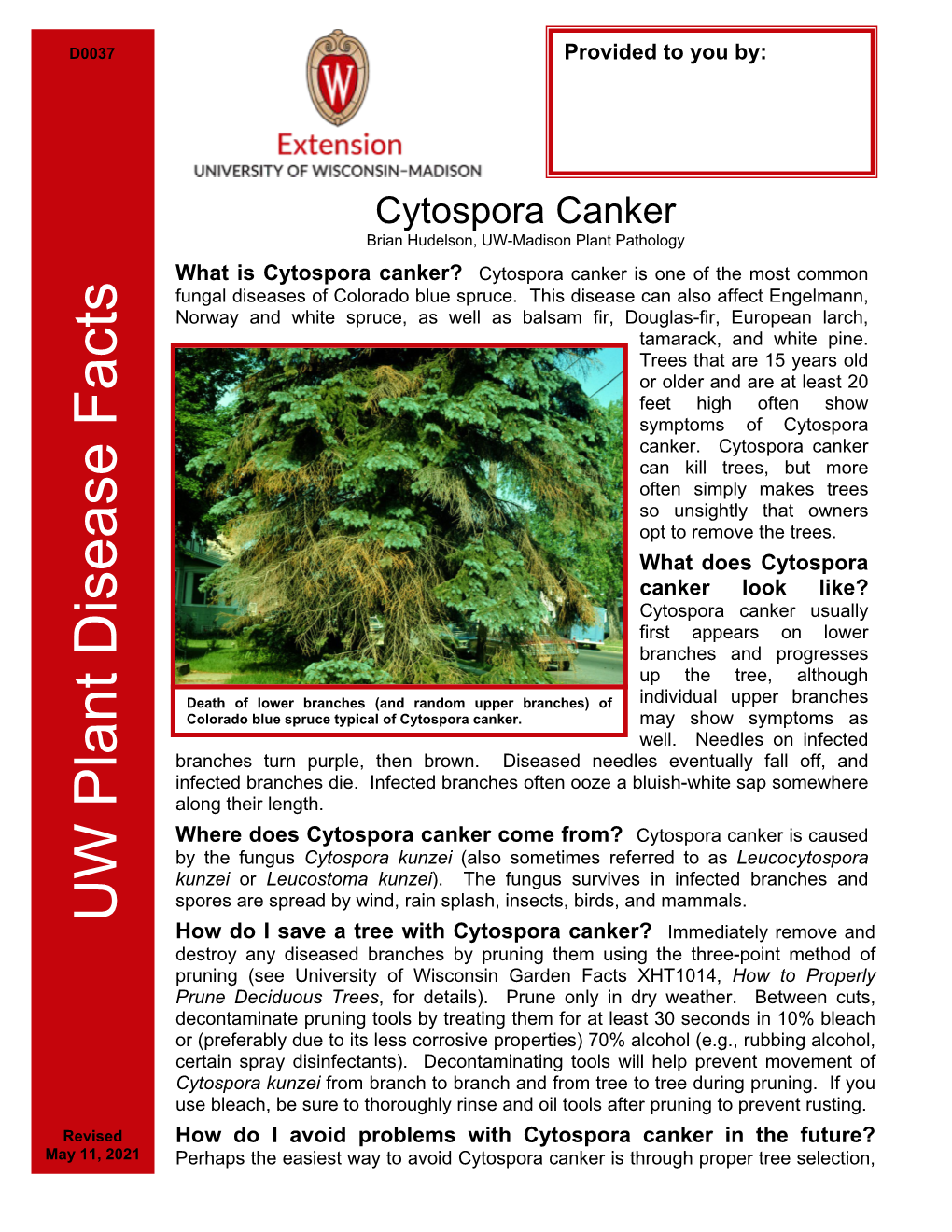 Cytospora Canker Brian Hudelson, UW-Madison Plant Pathology