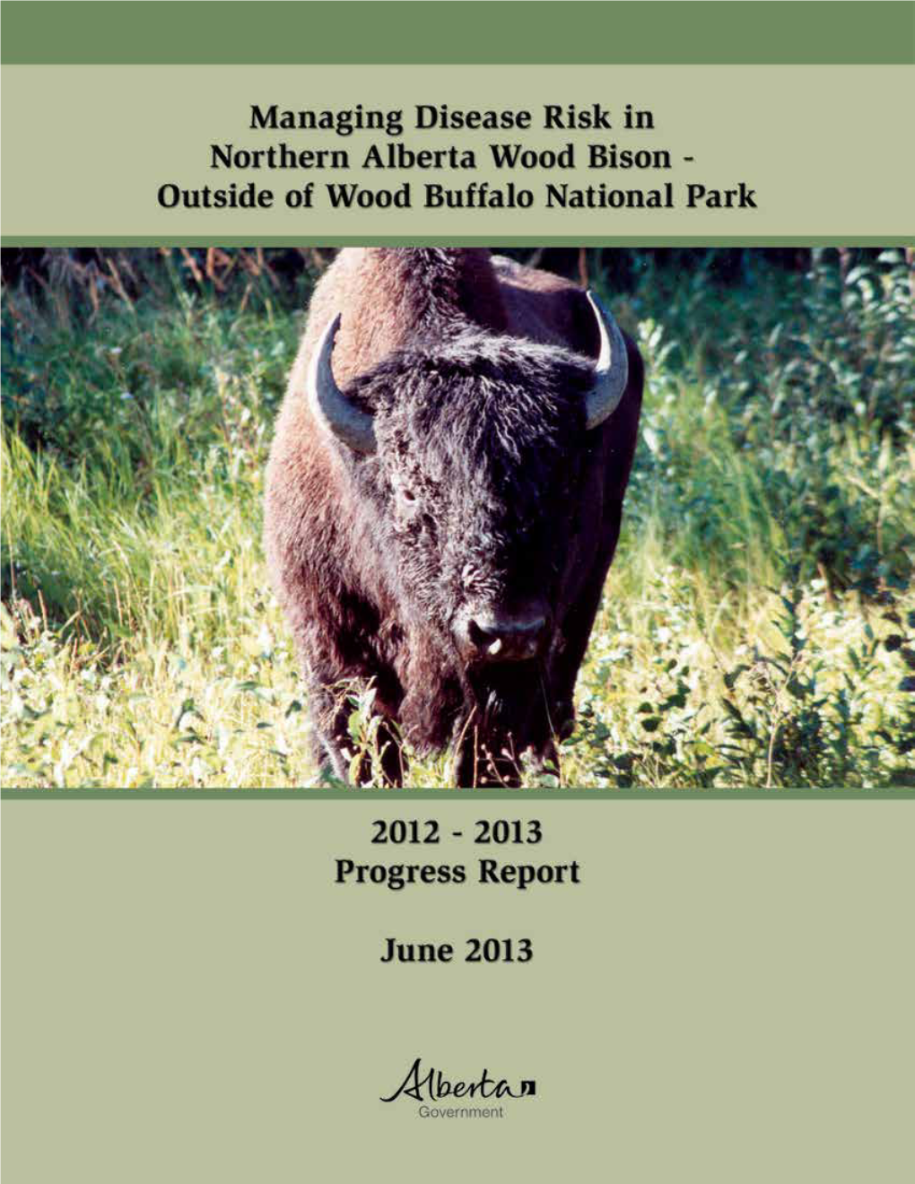 Managing Disease Risk in Northern Alberta Wood Bison - Outside of Wood Buffalo National Park”