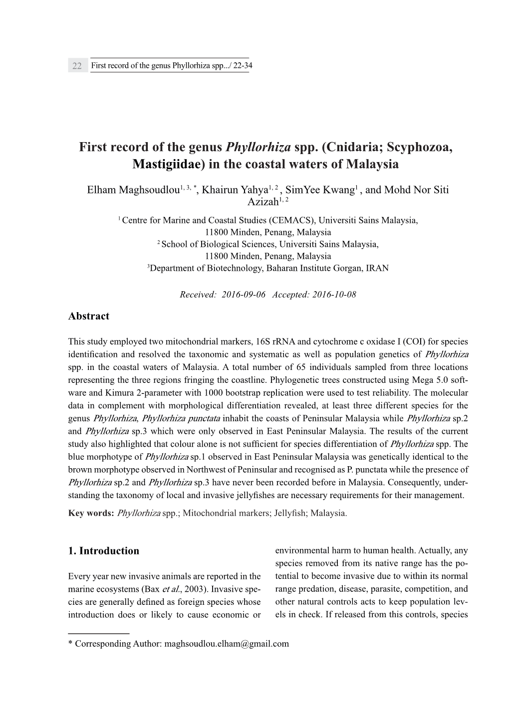 First Record of the Genus Phyllorhiza Spp.../ 22-34