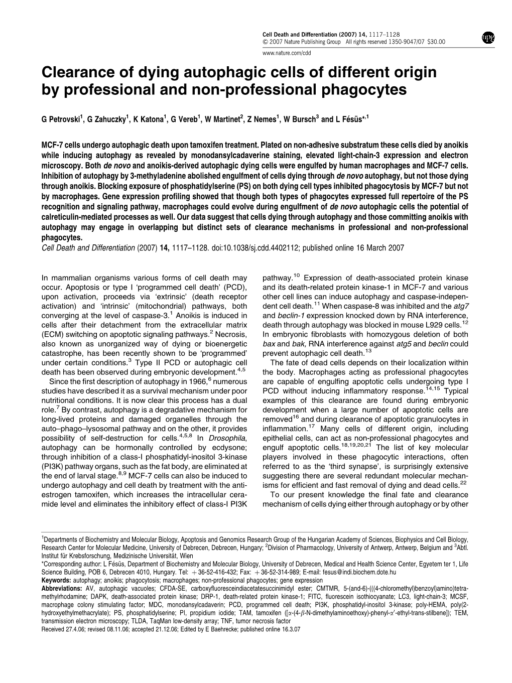 Clearance of Dying Autophagic Cells of Different Origin by Professional and Non-Professional Phagocytes