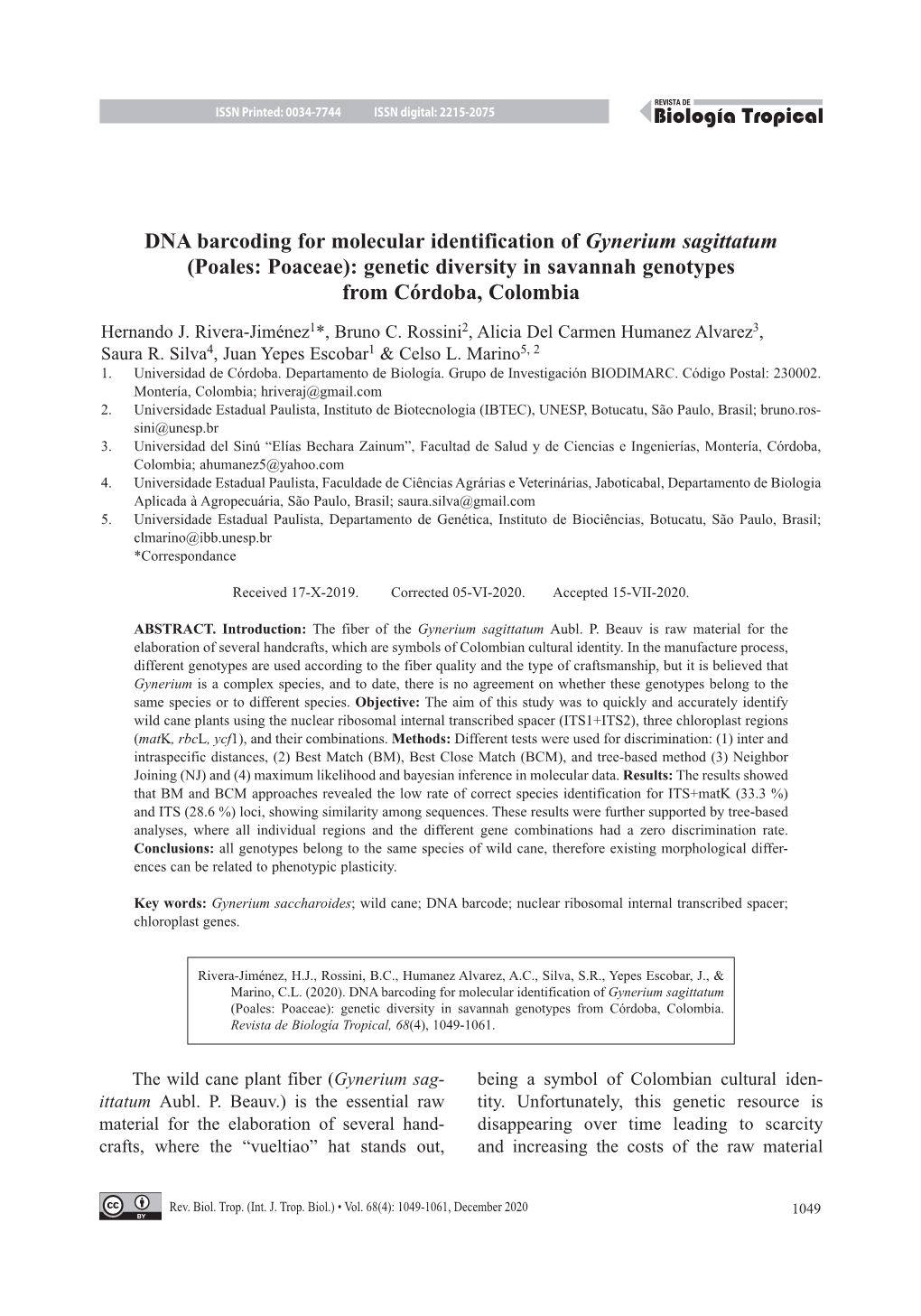 DNA Barcoding for Molecular Identification of Gynerium Sagittatum (Poales: Poaceae): Genetic Diversity in Savannah Genotypes from Córdoba, Colombia