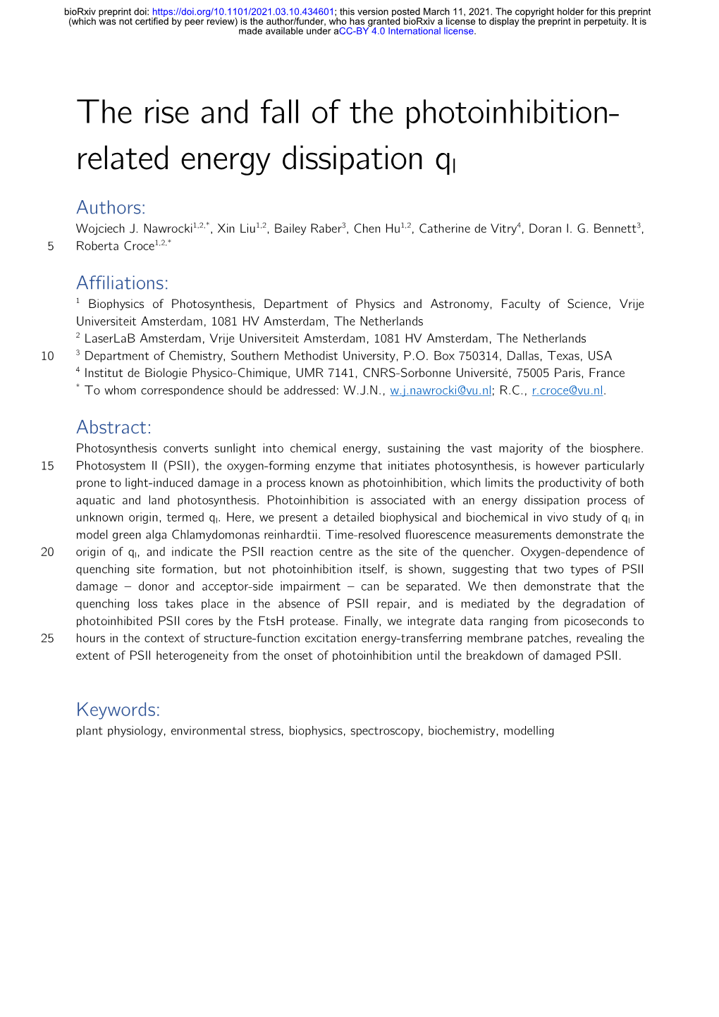 The Rise and Fall of the Photoinhibition-Related Energy