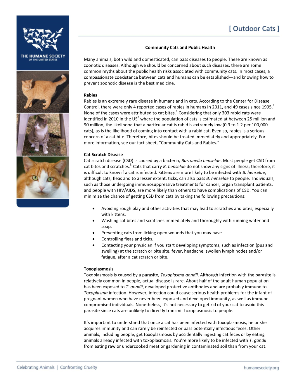 Community Cats and Public Health Many Animals, Both Wild And