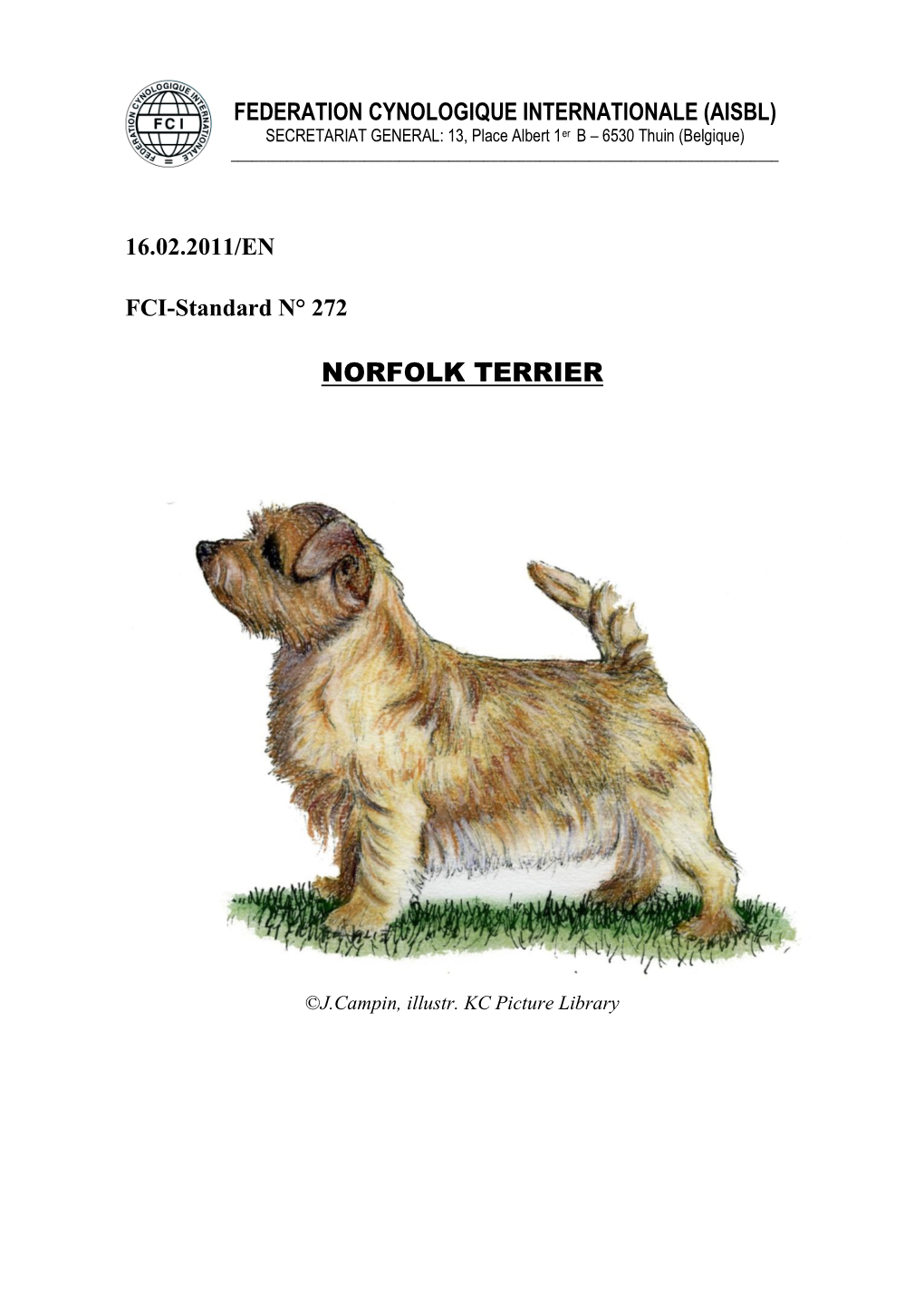 Norfolk Terrier