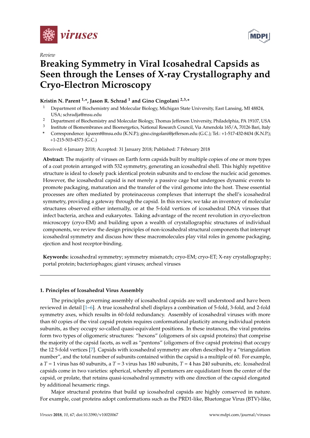 Breaking Symmetry in Viral Icosahedral Capsids As Seen Through the Lenses of X-Ray Crystallography and Cryo-Electron Microscopy