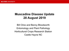 Disease Updates on Muscadines (Bill Cline, NCSU) (PDF)