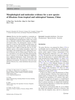 Morphological and Molecular Evidence for a New Species of Rhodotus from Tropical and Subtropical Yunnan, China