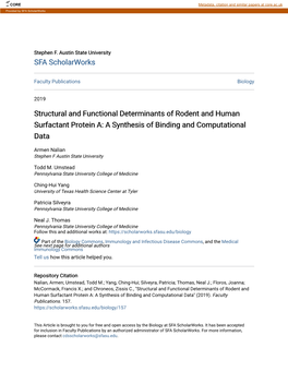 Structural and Functional Determinants of Rodent and Human Surfactant Protein A: a Synthesis of Binding and Computational Data