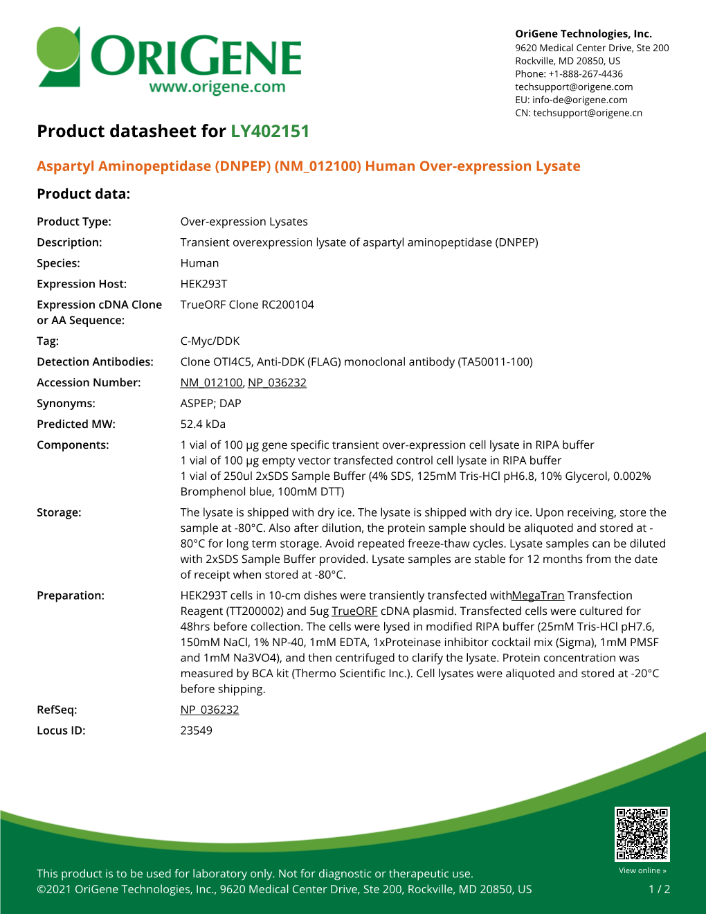 Aspartyl Aminopeptidase (DNPEP) (NM 012100) Human Over-Expression Lysate Product Data