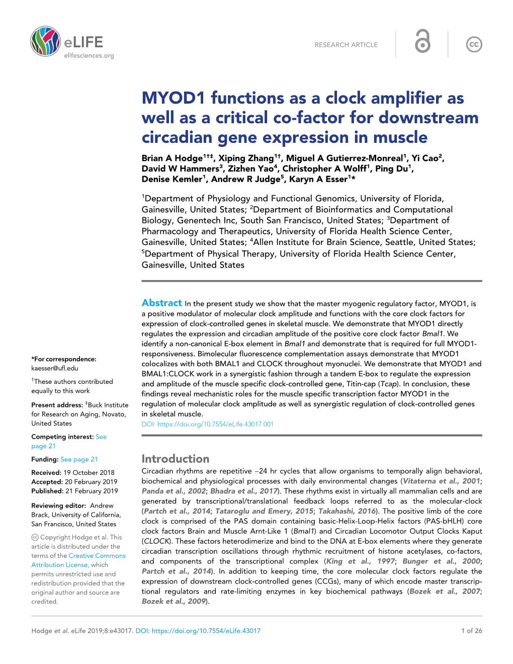 MYOD1 Functions As a Clock Amplifier As Well As a Critical Co-Factor For