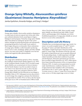 Orange Spiny Whitefly, Aleurocanthus Spiniferus (Quaintance) (Insecta: Hemiptera: Aleyrodidae)1 Jamba Gyeltshen, Amanda Hodges, and Greg S