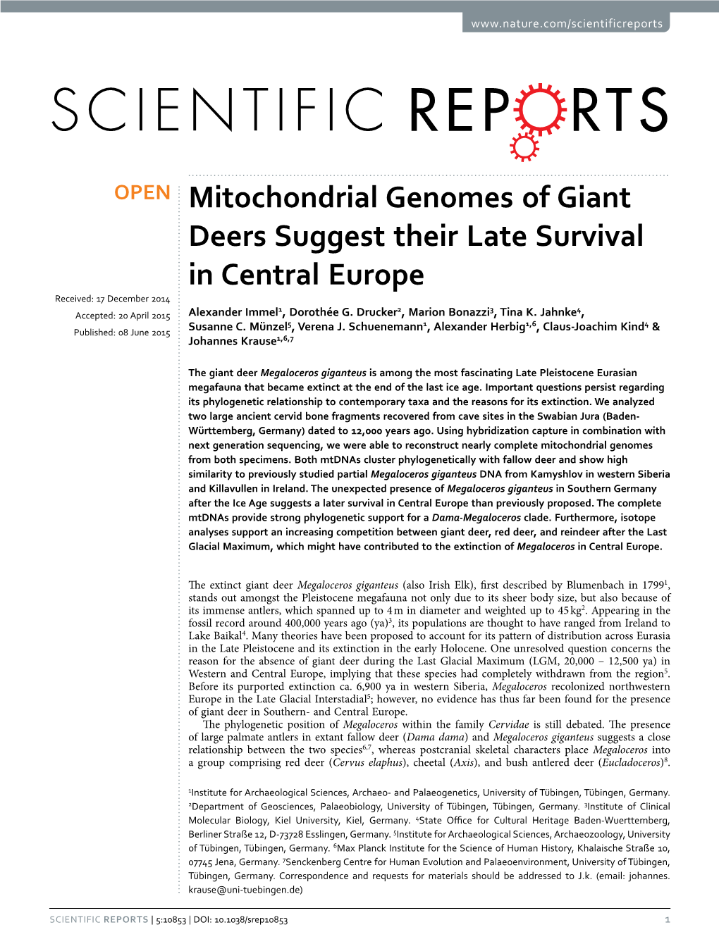 Mitochondrial Genomes of Giant Deers Suggest Their