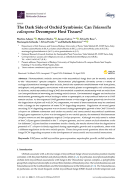 The Dark Side of Orchid Symbiosis: Can Tulasnella Calospora Decompose Host Tissues?